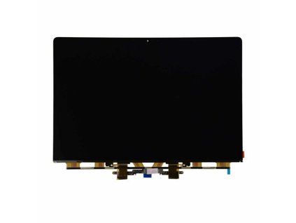 Displej pro Apple MacBook Pro 13 Inch - A2289