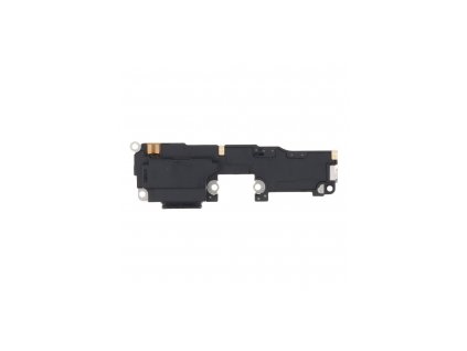 Reproduktor pro Google Pixel 6 (GB7N6, G9S9B16)
