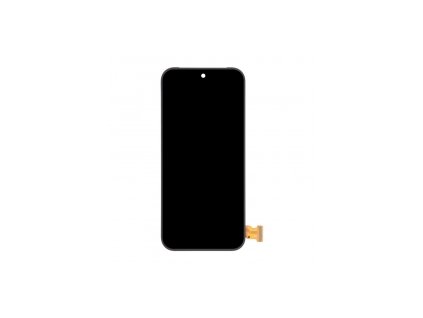 Displej pro Google Pixel 9 Pro (GR83Y/GEC77/GWVK6)