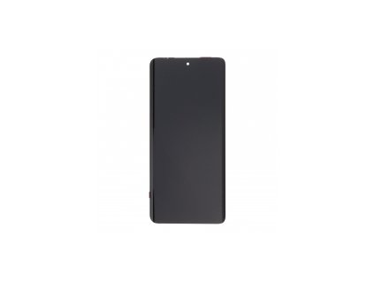 Displej pro Motorola Moto Edge 40 (XT2303-2)