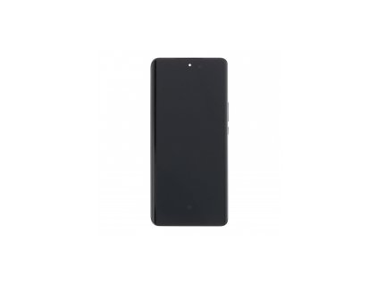 Displej pro Huawei Honor Magic 6 Lite 5G (ALI-NX3)