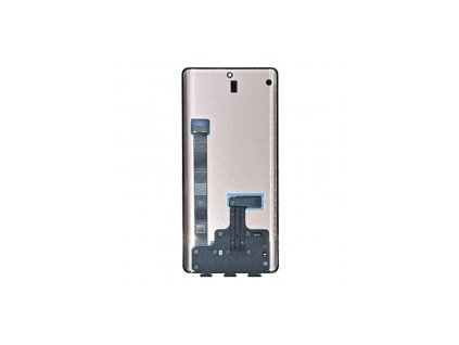 Displej pro Motorola Moto Edge 40 Pro (XT2301-4)