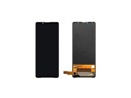 Displej pro Sony Xperia 10 VI (XQ-ES54/XQ-ES72)