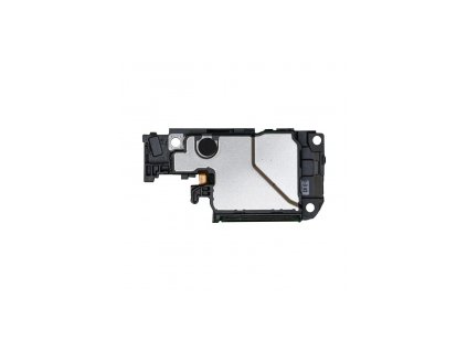 Reproduktor pro OnePlus 10T 5G (CPH2415)