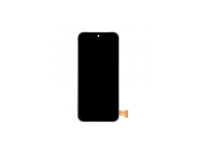 Displej pro Google Pixel 9 Pro XL (GGX8B/GZC4K/GQ57S)