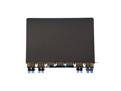 Displej pro Apple Macbook Pro 16 inch - A2485