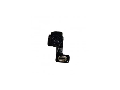 Flex kabel pro Oppo Reno 8T 4G (CPH2481)