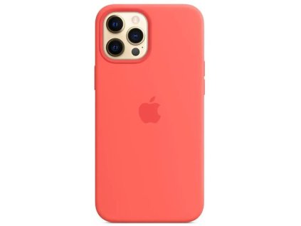 Kryt pro Apple iPhone 12 Pro Max