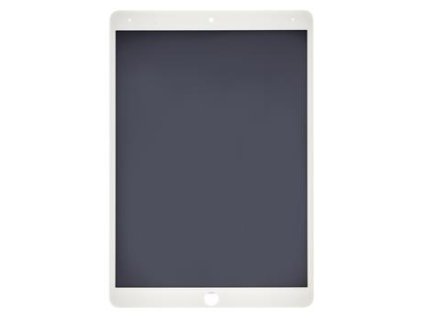 Displej pro Apple iPad Air 2019