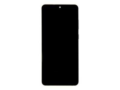 Displej pro Samsung Galaxy S20 Ultra